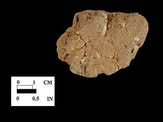 Dames Quarter exterior surface of body sherd from Nassawango, site 18WO23/6K.